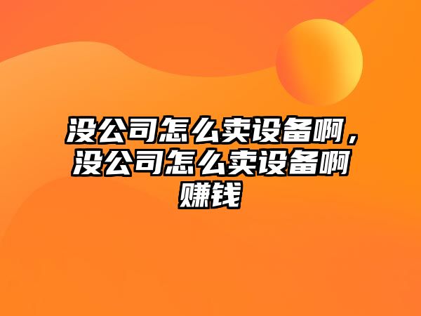 沒(méi)公司怎么賣(mài)設備啊，沒(méi)公司怎么賣(mài)設備啊賺錢(qián)