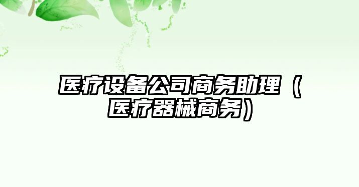 醫療設備公司商務(wù)助理（醫療器械商務(wù)）