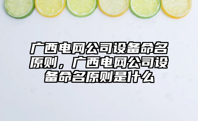 廣西電網(wǎng)公司設備命名原則，廣西電網(wǎng)公司設備命名原則是什么