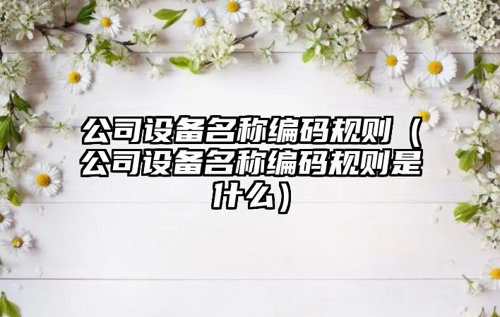 公司設備名稱(chēng)編碼規則（公司設備名稱(chēng)編碼規則是什么）