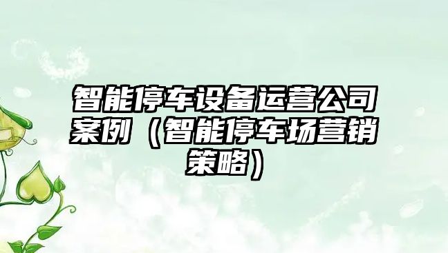 智能停車(chē)設備運營(yíng)公司案例（智能停車(chē)場(chǎng)營(yíng)銷(xiāo)策略）