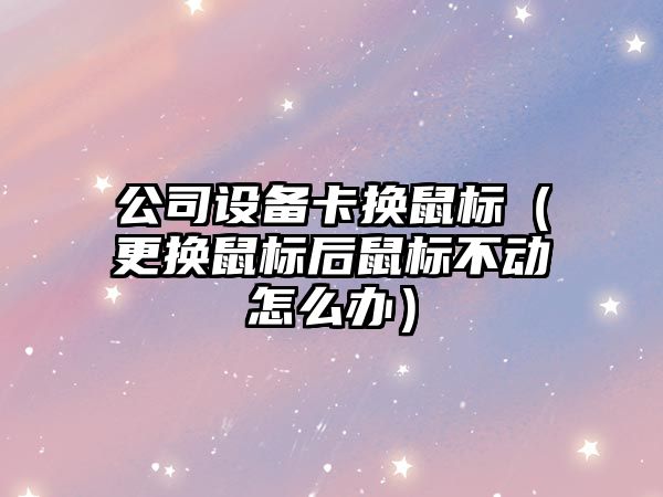 公司設備卡換鼠標（更換鼠標后鼠標不動(dòng)怎么辦）