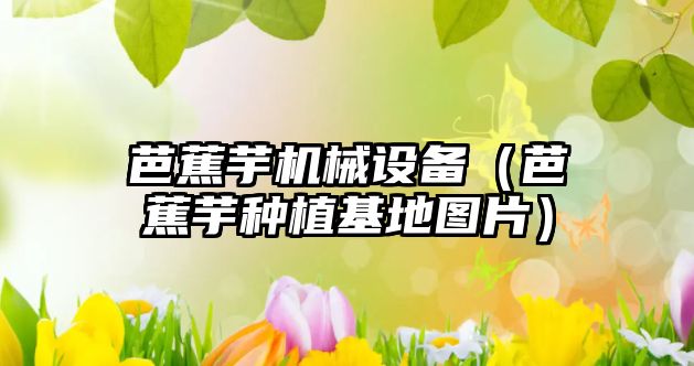 芭蕉芋機械設備（芭蕉芋種植基地圖片）