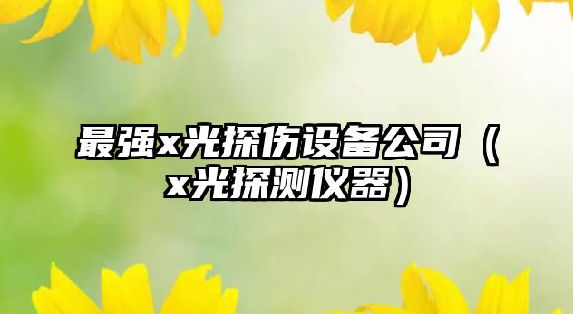 最強x光探傷設備公司（x光探測儀器）