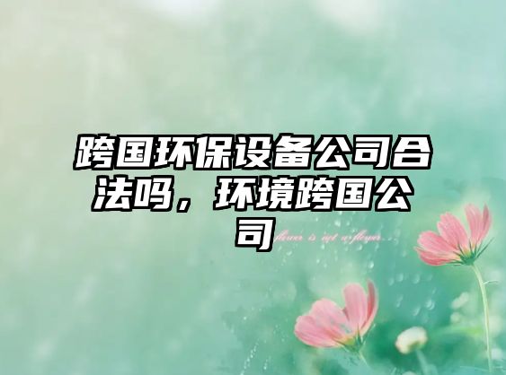 跨國環(huán)保設備公司合法嗎，環(huán)境跨國公司