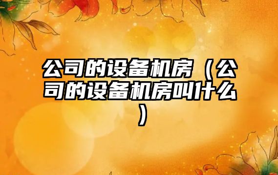 公司的設備機房（公司的設備機房叫什么）
