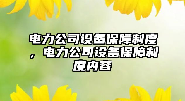 電力公司設備保障制度，電力公司設備保障制度內容