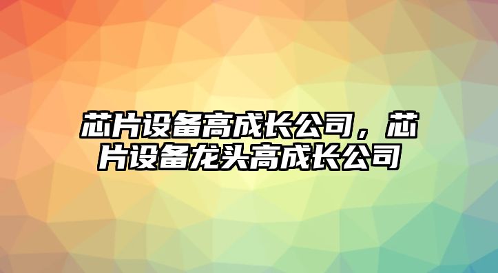 芯片設備高成長(cháng)公司，芯片設備龍頭高成長(cháng)公司