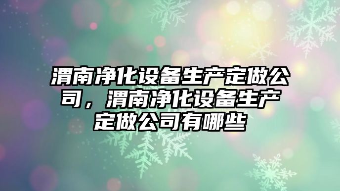 渭南凈化設備生產(chǎn)定做公司，渭南凈化設備生產(chǎn)定做公司有哪些