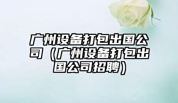 廣州設備打包出國公司（廣州設備打包出國公司招聘）