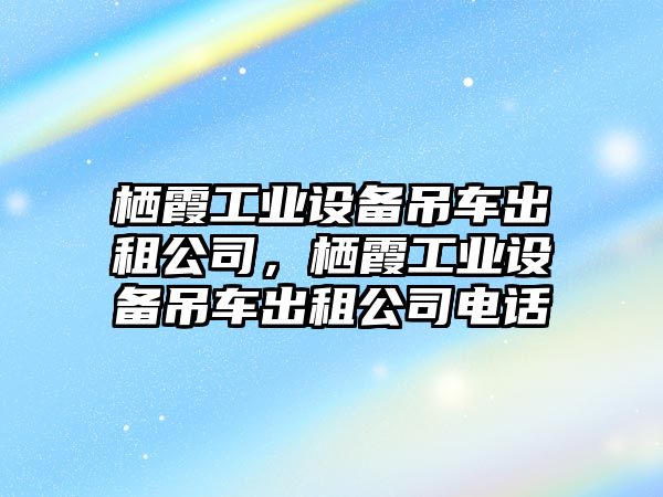 棲霞工業(yè)設備吊車(chē)出租公司，棲霞工業(yè)設備吊車(chē)出租公司電話(huà)