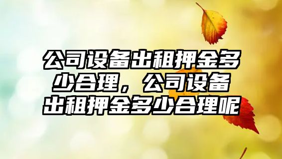 公司設備出租押金多少合理，公司設備出租押金多少合理呢