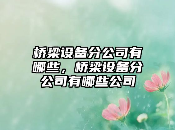 橋梁設備分公司有哪些，橋梁設備分公司有哪些公司