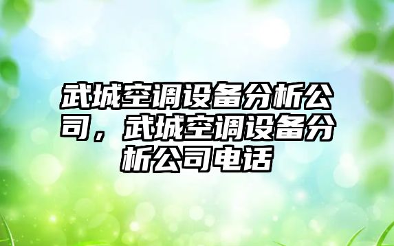 武城空調設備分析公司，武城空調設備分析公司電話(huà)