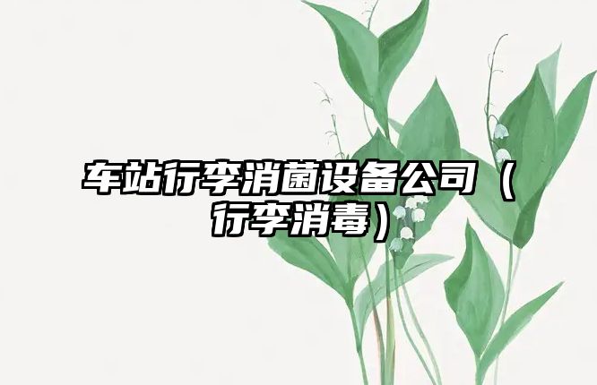 車(chē)站行李消菌設備公司（行李消毒）