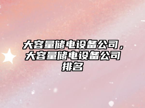 大容量?jì)﹄娫O備公司，大容量?jì)﹄娫O備公司排名