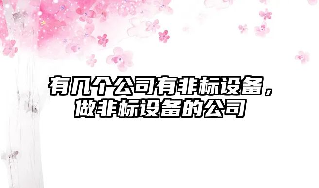 有幾個(gè)公司有非標設備，做非標設備的公司