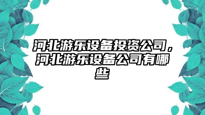 河北游樂(lè )設備投資公司，河北游樂(lè )設備公司有哪些