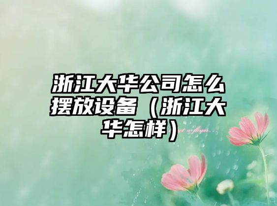 浙江大華公司怎么擺放設備（浙江大華怎樣）