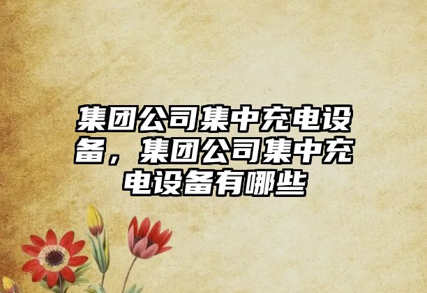 集團公司集中充電設備，集團公司集中充電設備有哪些