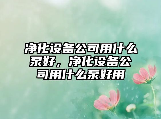 凈化設備公司用什么泵好，凈化設備公司用什么泵好用