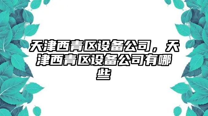 天津西青區設備公司，天津西青區設備公司有哪些