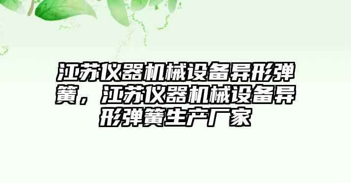 江蘇儀器機械設備異形彈簧，江蘇儀器機械設備異形彈簧生產(chǎn)廠(chǎng)家
