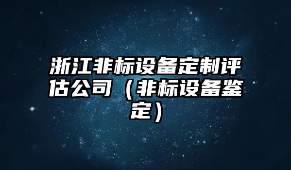 浙江非標設備定制評估公司（非標設備鑒定）