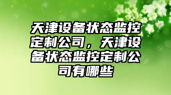 天津設備狀態(tài)監控定制公司，天津設備狀態(tài)監控定制公司有哪些