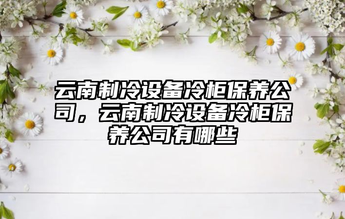 云南制冷設備冷柜保養公司，云南制冷設備冷柜保養公司有哪些