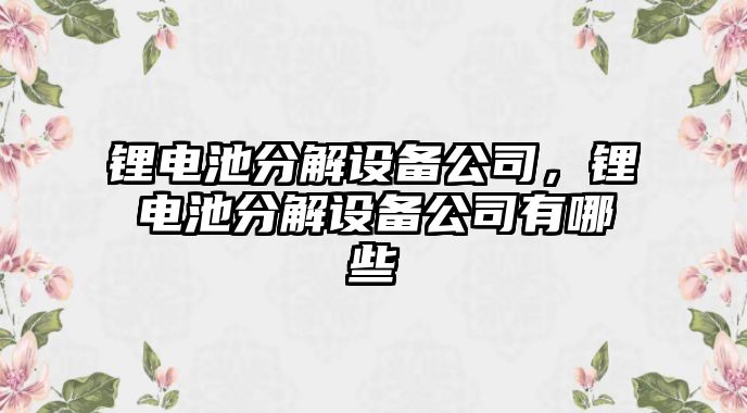 鋰電池分解設備公司，鋰電池分解設備公司有哪些