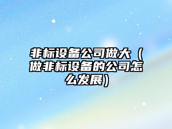 非標設備公司做大（做非標設備的公司怎么發(fā)展）