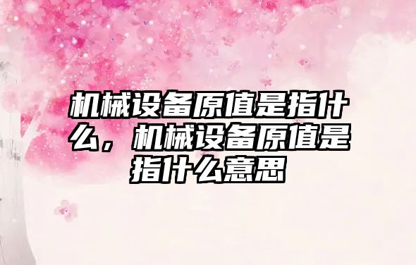 機械設備原值是指什么，機械設備原值是指什么意思