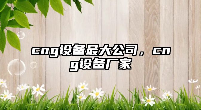 cng設備最大公司，cng設備廠(chǎng)家