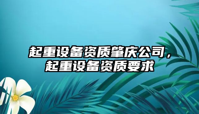起重設備資質(zhì)肇慶公司，起重設備資質(zhì)要求