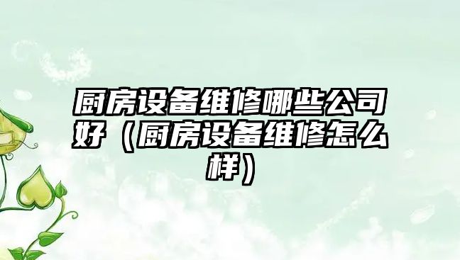 廚房設備維修哪些公司好（廚房設備維修怎么樣）