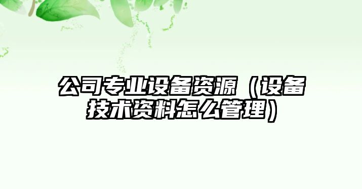 公司專(zhuān)業(yè)設備資源（設備技術(shù)資料怎么管理）