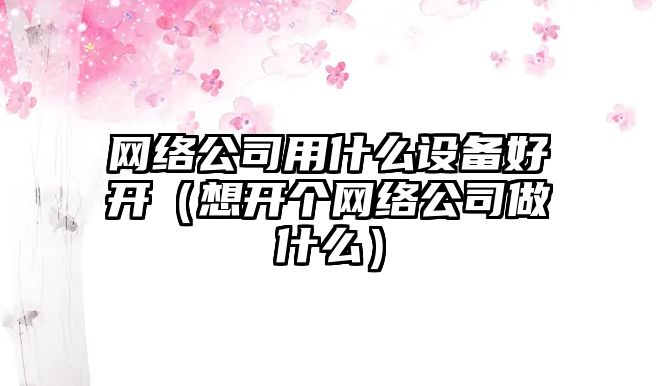 網(wǎng)絡(luò )公司用什么設備好開(kāi)（想開(kāi)個(gè)網(wǎng)絡(luò )公司做什么）