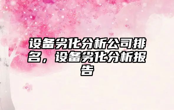 設備劣化分析公司排名，設備劣化分析報告