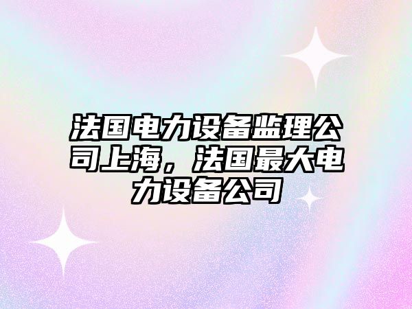 法國電力設備監理公司上海，法國最大電力設備公司