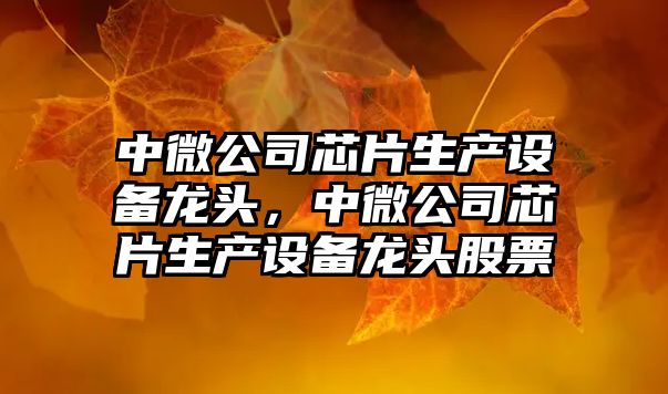 中微公司芯片生產(chǎn)設備龍頭，中微公司芯片生產(chǎn)設備龍頭股票