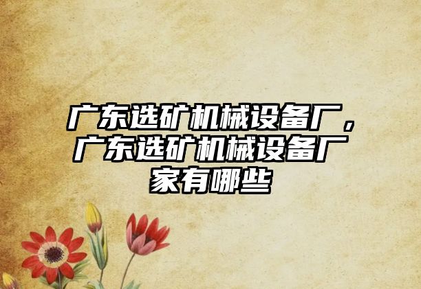 廣東選礦機械設備廠(chǎng)，廣東選礦機械設備廠(chǎng)家有哪些