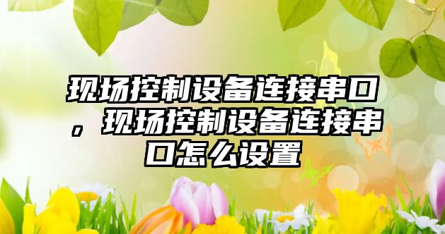 現場(chǎng)控制設備連接串口，現場(chǎng)控制設備連接串口怎么設置