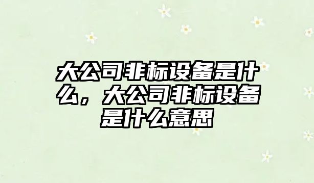 大公司非標設備是什么，大公司非標設備是什么意思
