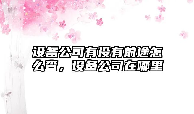 設備公司有沒(méi)有前途怎么查，設備公司在哪里