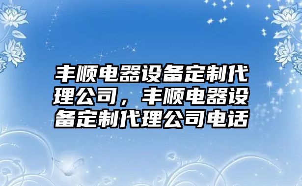 豐順電器設備定制代理公司，豐順電器設備定制代理公司電話(huà)