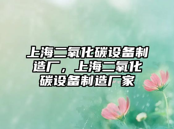 上海二氧化碳設備制造廠(chǎng)，上海二氧化碳設備制造廠(chǎng)家