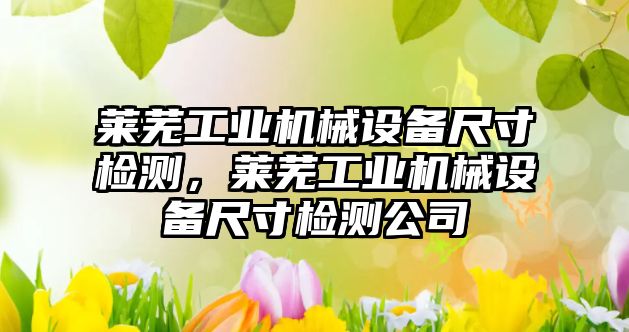 萊蕪工業(yè)機械設備尺寸檢測，萊蕪工業(yè)機械設備尺寸檢測公司
