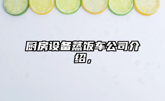 廚房設備蒸飯車(chē)公司介紹，
