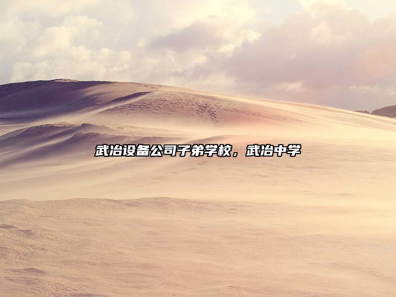 武冶設備公司子弟學(xué)校，武冶中學(xué)